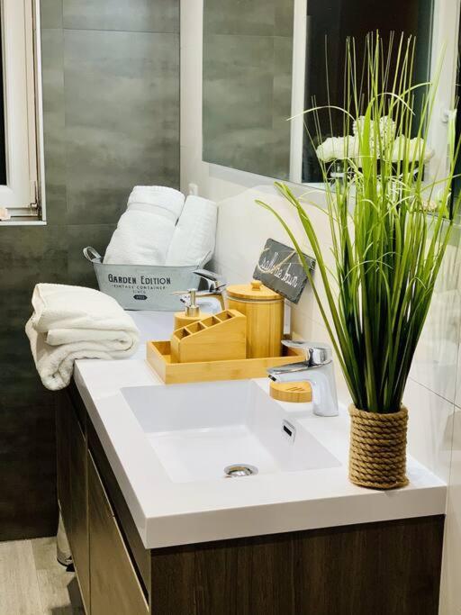 Gite Cosy Au Coeur De L'Alsace Daire Roggenhouse Dış mekan fotoğraf