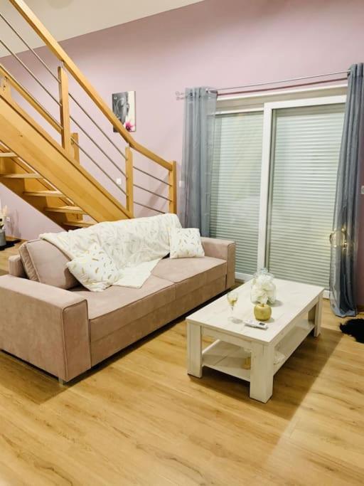 Gite Cosy Au Coeur De L'Alsace Daire Roggenhouse Dış mekan fotoğraf